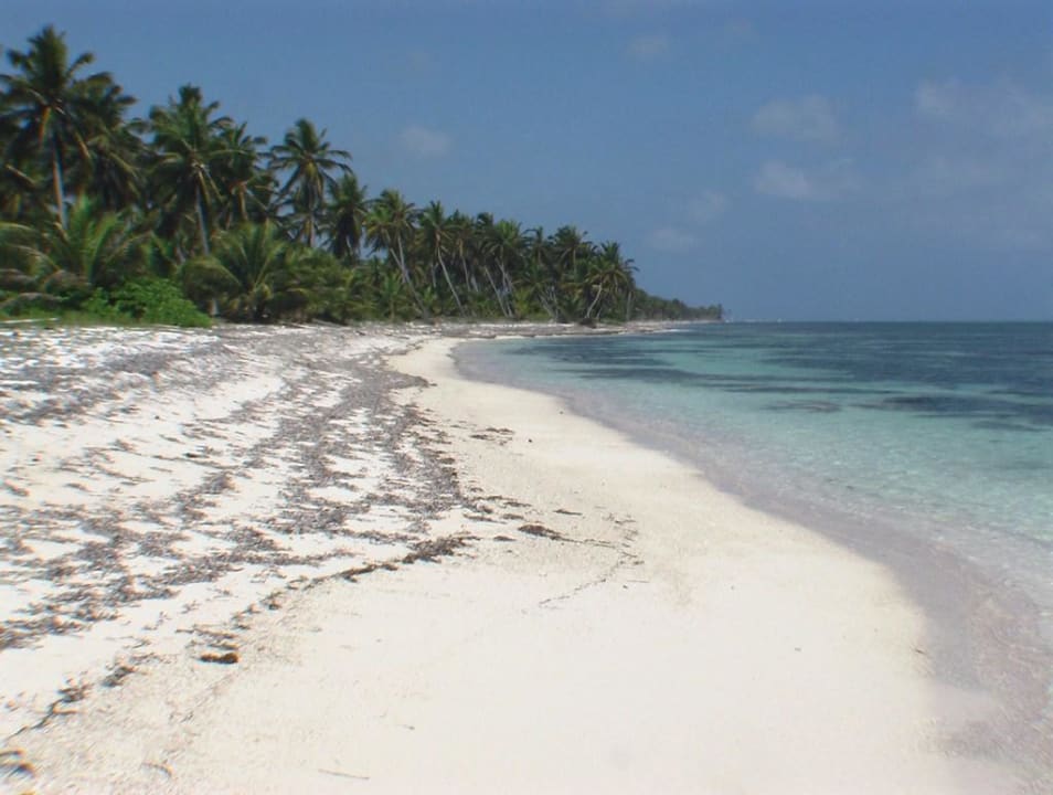 Langer Palmenstrand Catalonia Punta Cana - All Inclusive