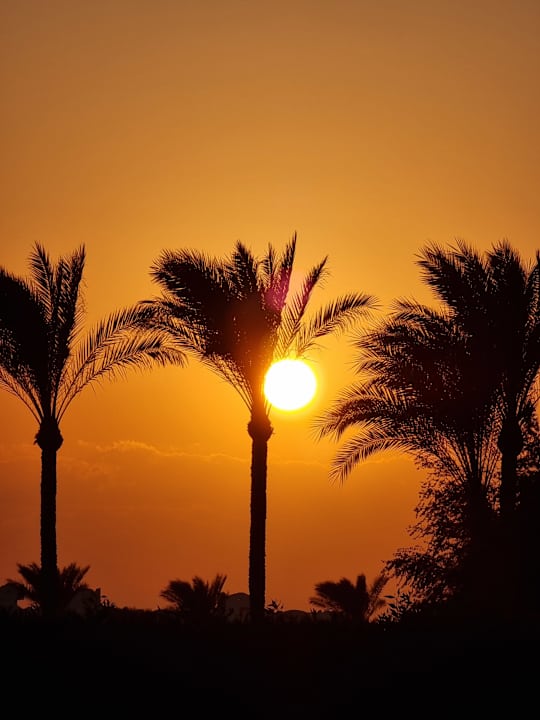 Sonstiges Continental Hotel Hurghada