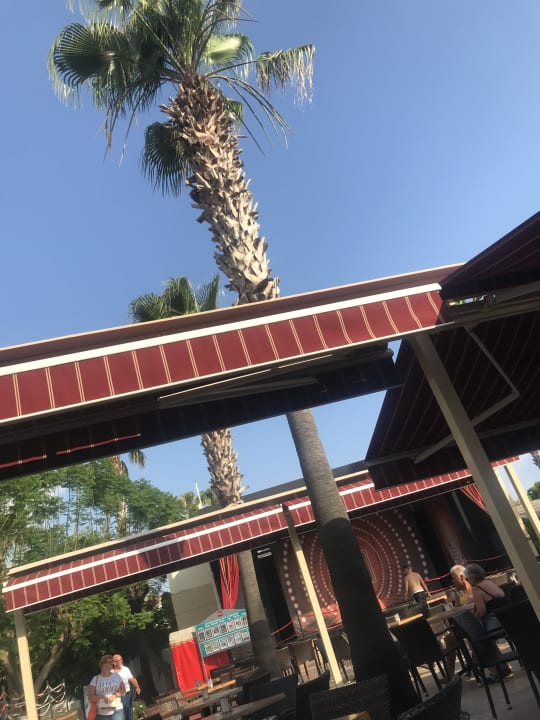 Ausblick Trendy Palm Beach (Adults Only, 16+)