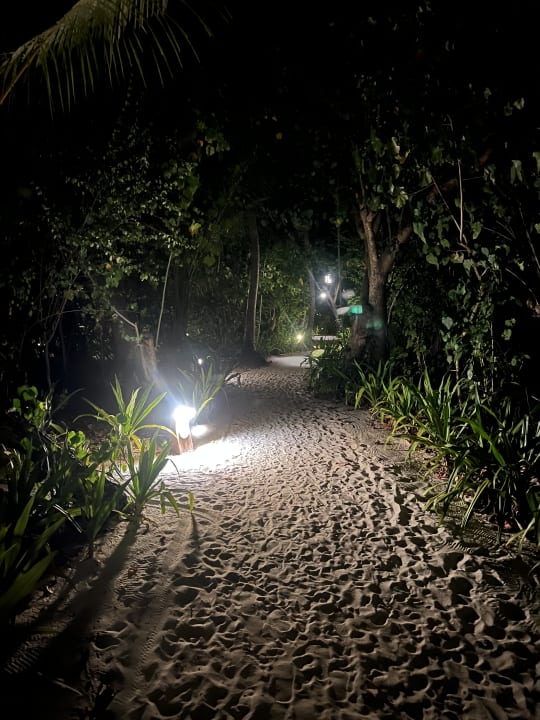 Gartenanlage Reethi Beach Resort