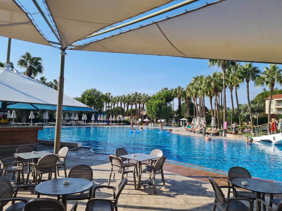 Gastro Arum Barut Collection