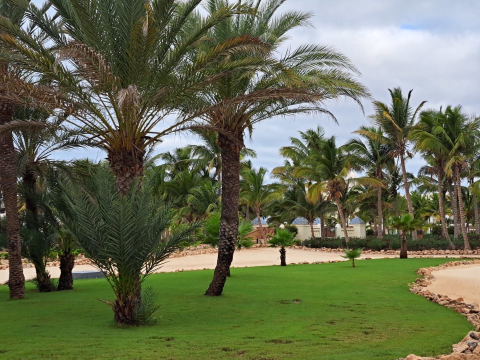 Gartenanlage Hotel Riu Karamboa