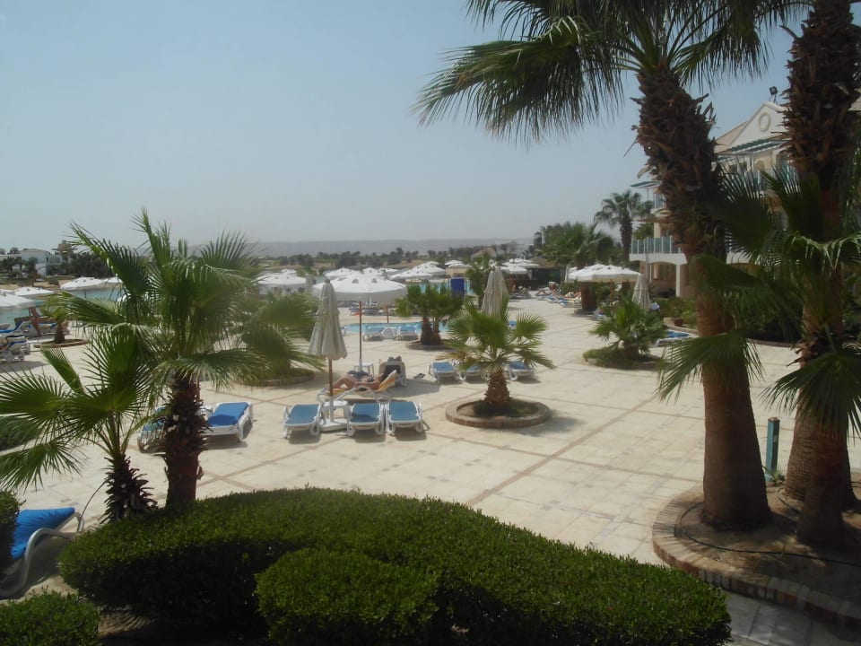 Lagoonenpool ohne Reservierungen immer möglich Mövenpick Resort & Spa El Gouna