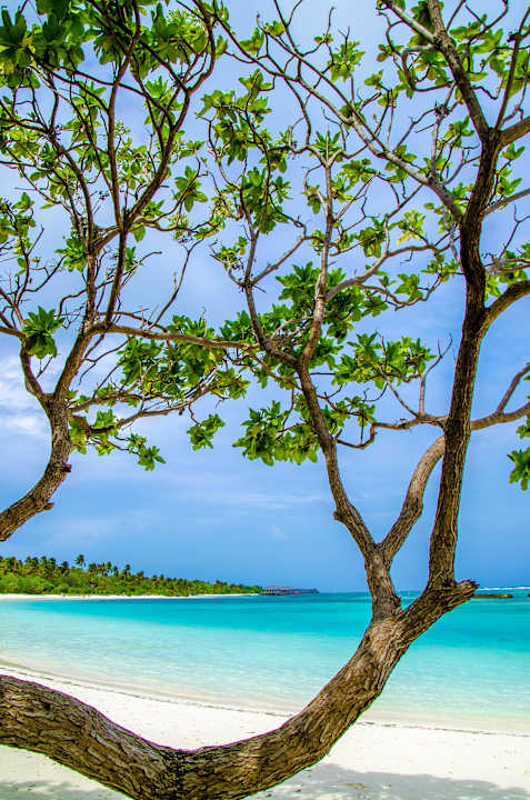 Schön Kuredu Island Resort & Spa