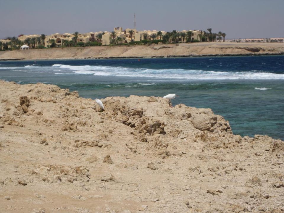 Aussenriff Jaz Dar EL Madina