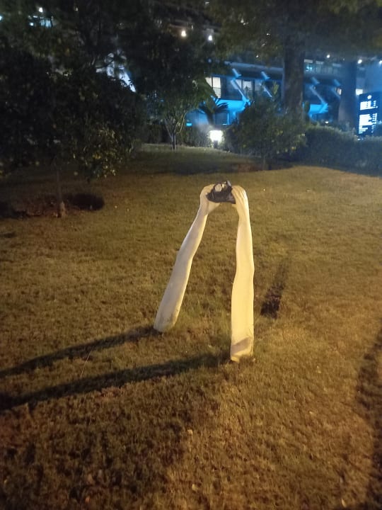 Gartenanlage Side Star Elegance