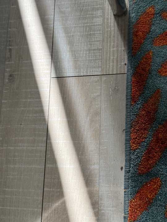 Zimmer Royal Seginus