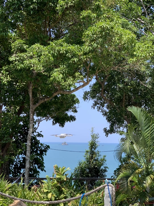 Gartenanlage Spiral Resort