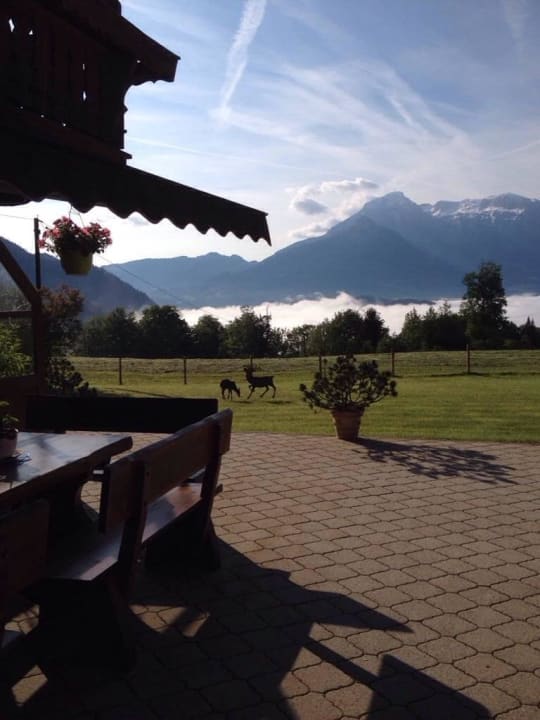 Blick von unserer Terrasse Pension Loiplstüberl