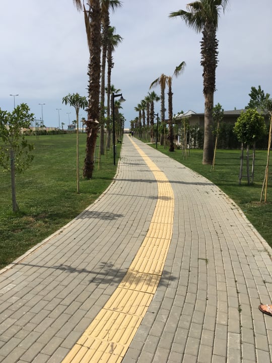 Gartenanlage Royal Seginus