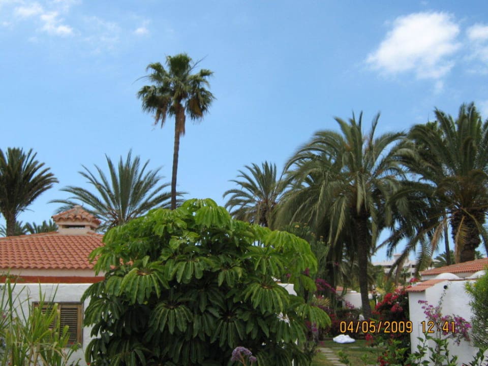 Bungalowanlage HL Miraflor Suites Hotel