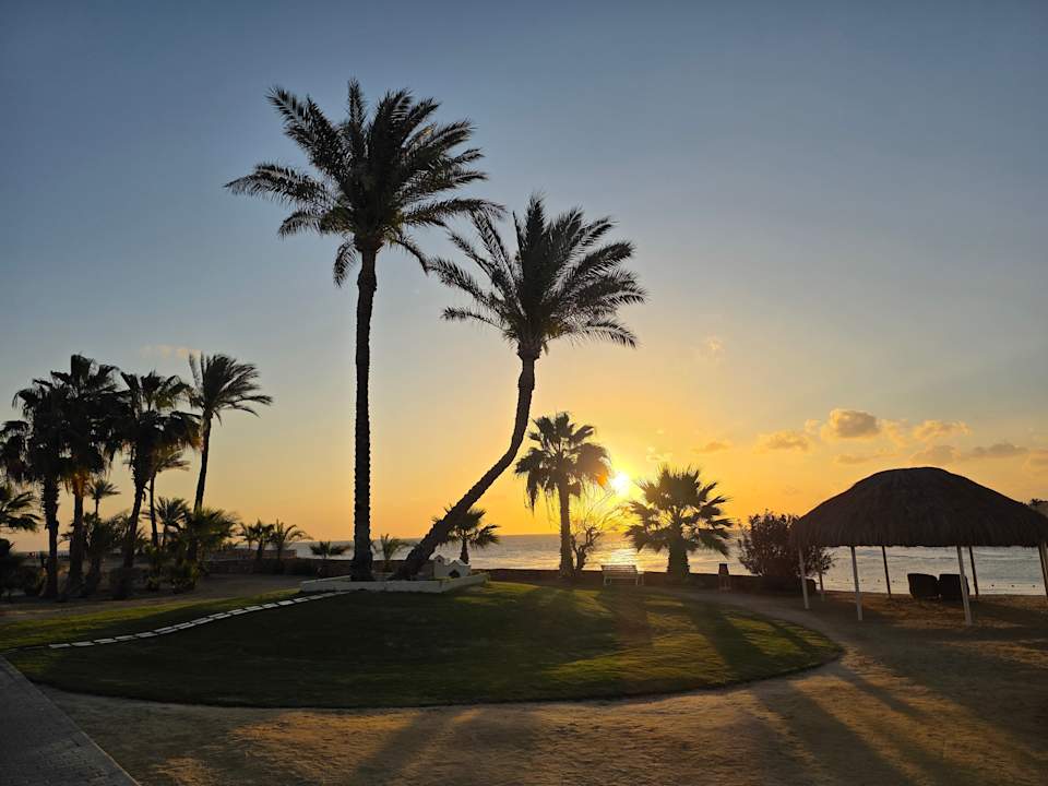 Ausblick Steigenberger Coraya Beach - Adults only