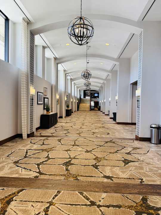 Lobby SpringHill Suites by Marriott Fort Worth Historic Stockyards