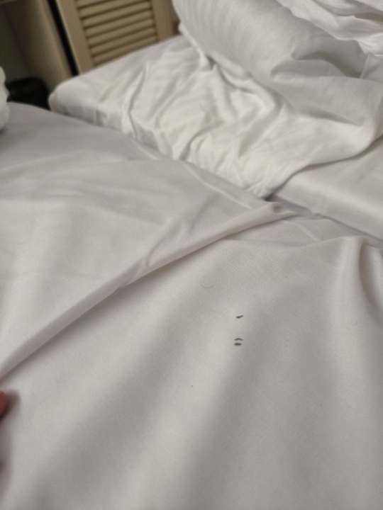 Zimmer Alexander Beach Hotel & Village Resort