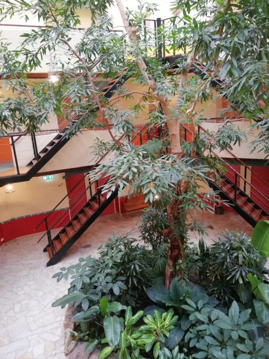 Sonstiges Center Parcs Het Heijderbos
