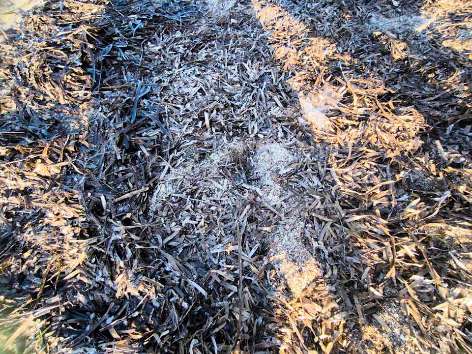 Strand Mitsis Cretan Village