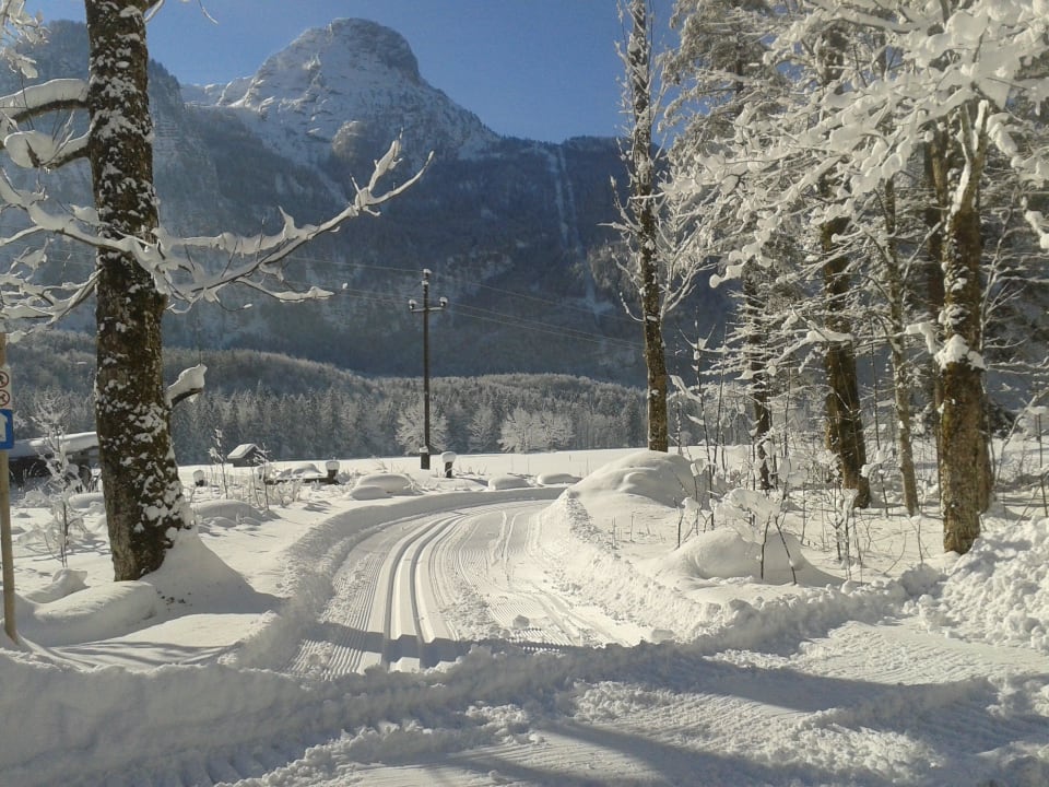 Langlaufloipe direkt am Haus Landhaus Bergidyll  Landhaus Bergidyll