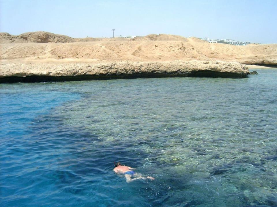 Traumhaft zum schnorcheln Ghazala Gardens