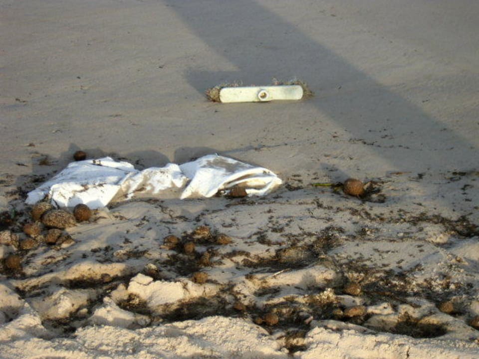 Strand dreckig Medina Solaria & Thalasso