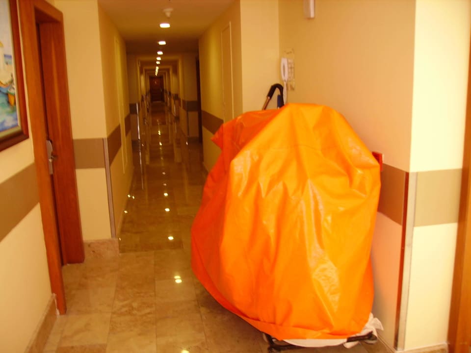 Limra Park Hotel - Der Flur Viking Park