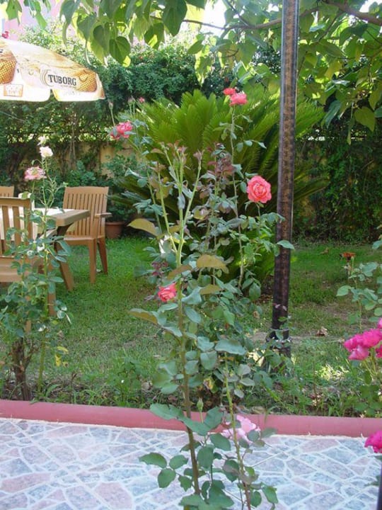 Ogrod Hotel Özgürhan