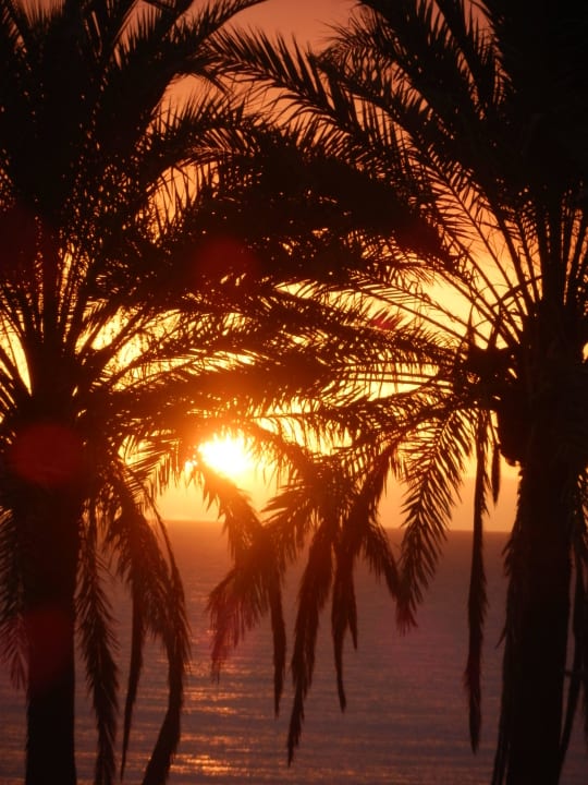 Tenerife Coucher Soleil H10 Las Palmeras