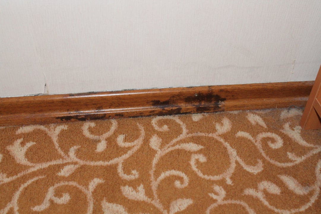 Leiste Kaya Artemis Resort