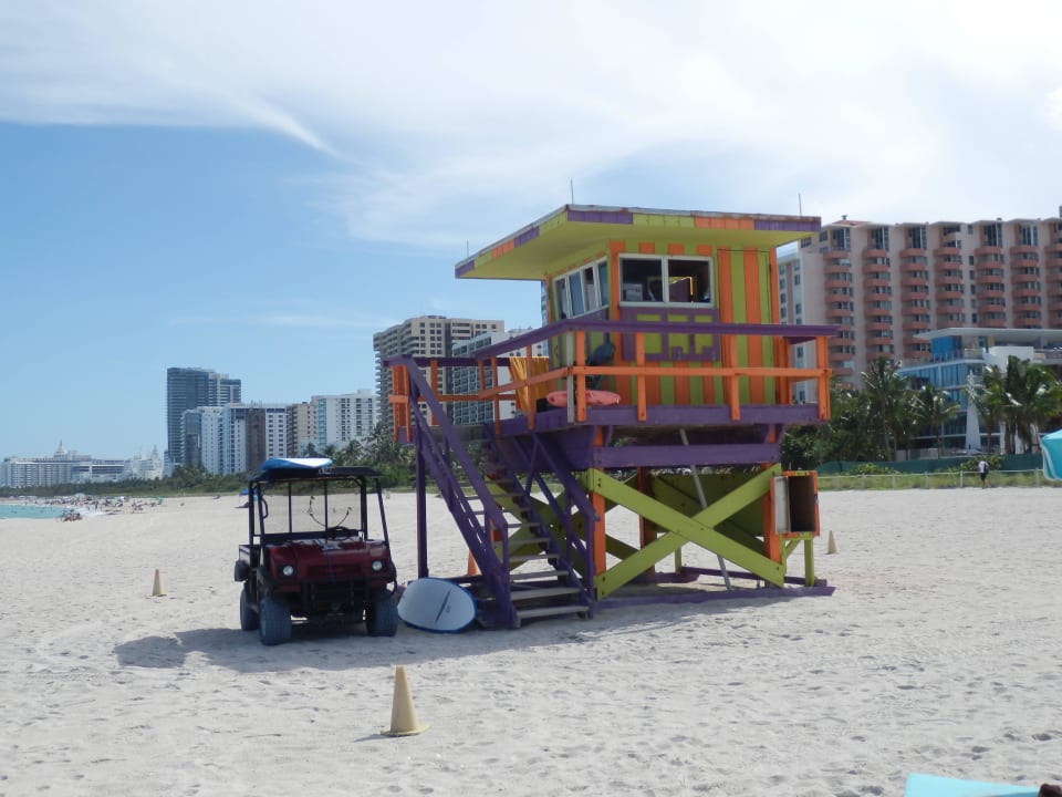 Lifeguards The Palms Hotel & Spa