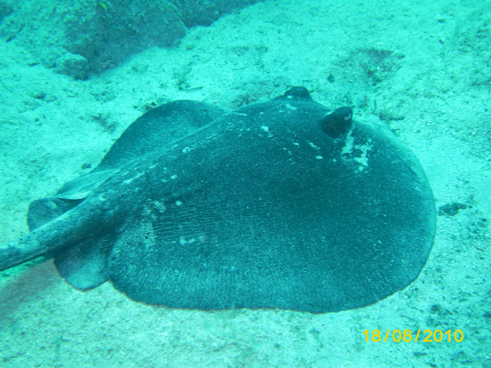 Sport & Freizeit Coral Hills Resorts & SPA