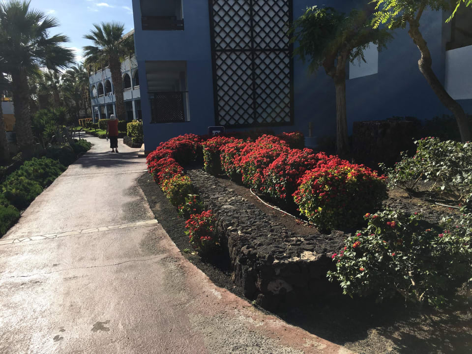 Gepflegter Zustand Occidental Jandía Playa