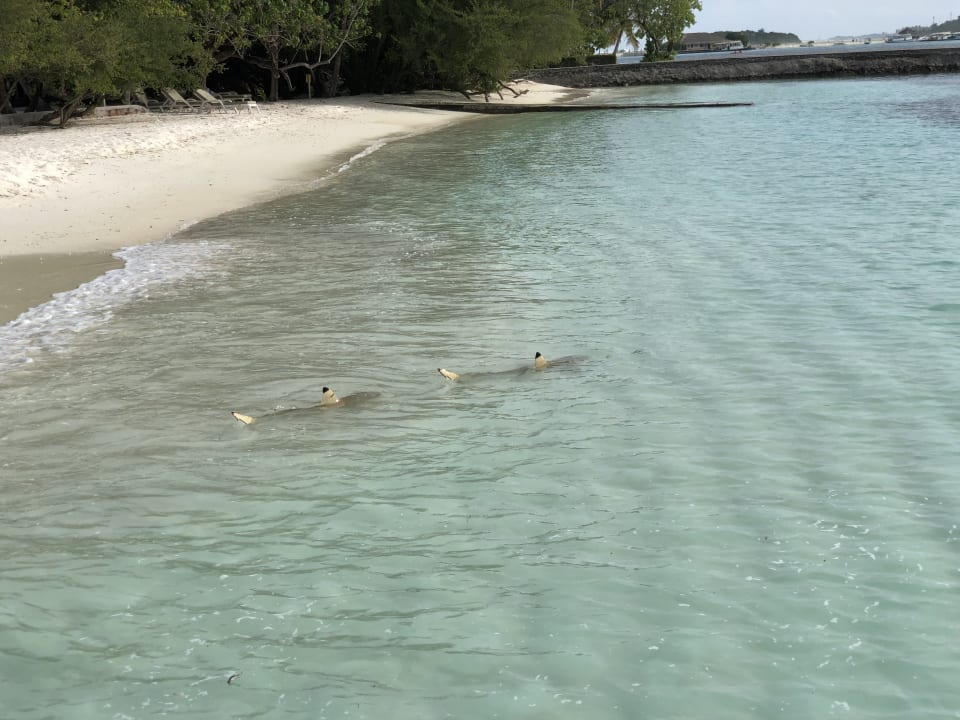 Strand Adaaran Select Hudhuran Fushi - Premium All Inclusive