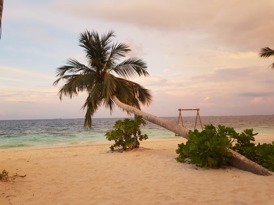 Ausblick Reethi Faru Resort