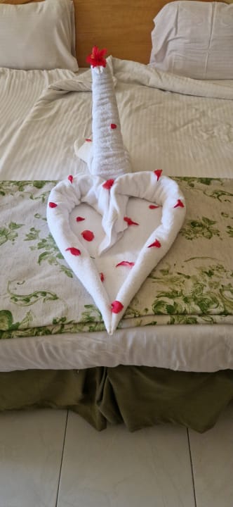 Zimmer Ghazala Gardens