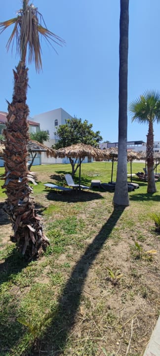 Außenansicht Ilios K Village Resort