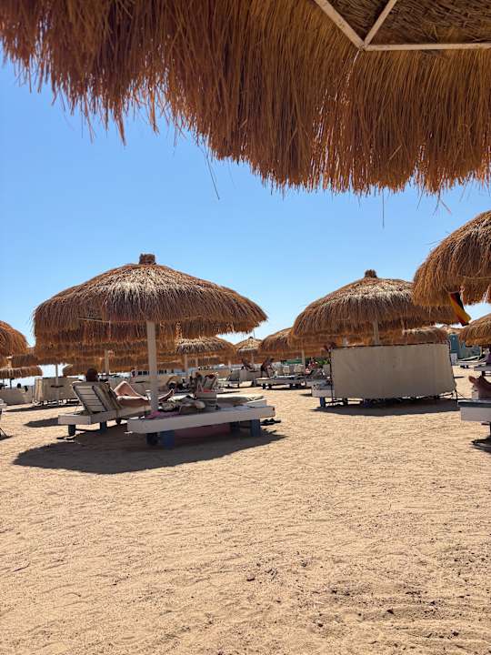 Pool Eagles Paradise Abu Soma