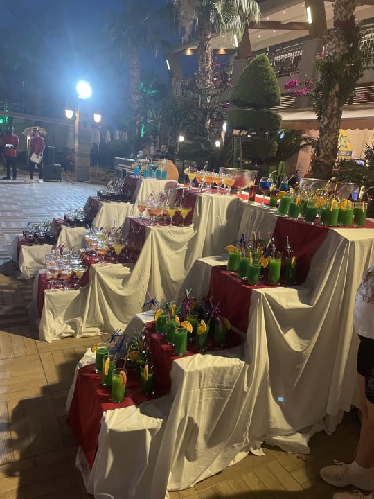 Sonstiges Dizalya Palm Garden