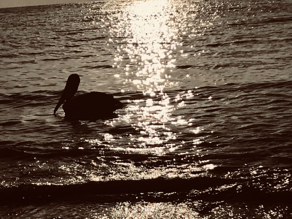 Sonstiges Grand Palladium Kantenah Resort & Spa