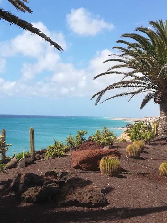 Gartenanlage R2 Pajara Beach