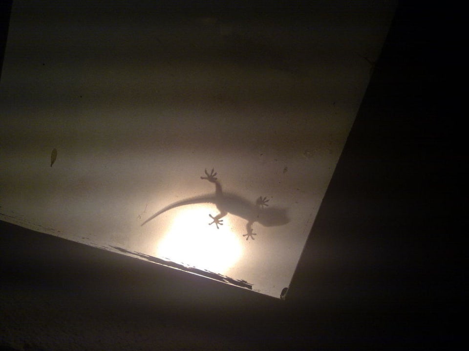 Lampe The Club Hammamet