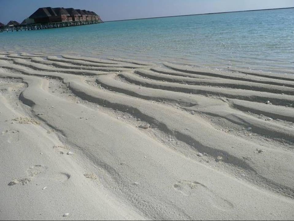Ebbe Six Senses Kanuhura