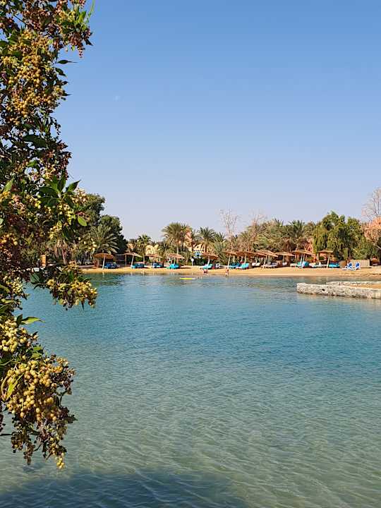 Strand Sheraton Miramar Resort El Gouna