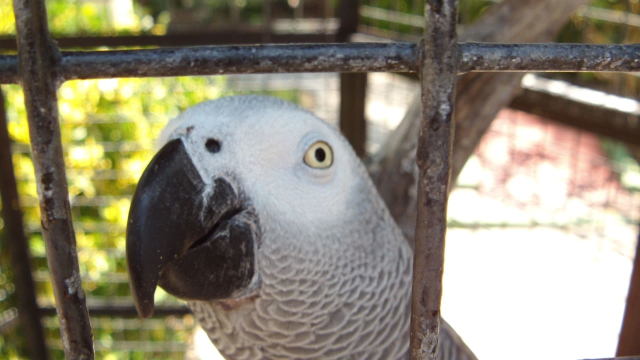 Paco Bahía de Alcúdia Hotel & Spa