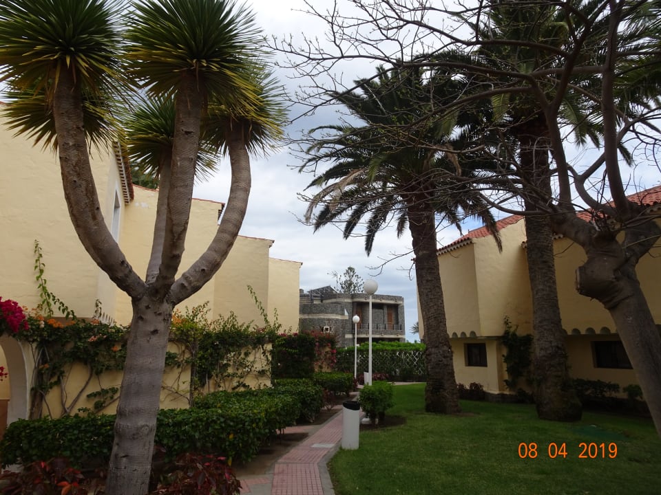 Außenansicht Hotel Riu Palace Palmeras