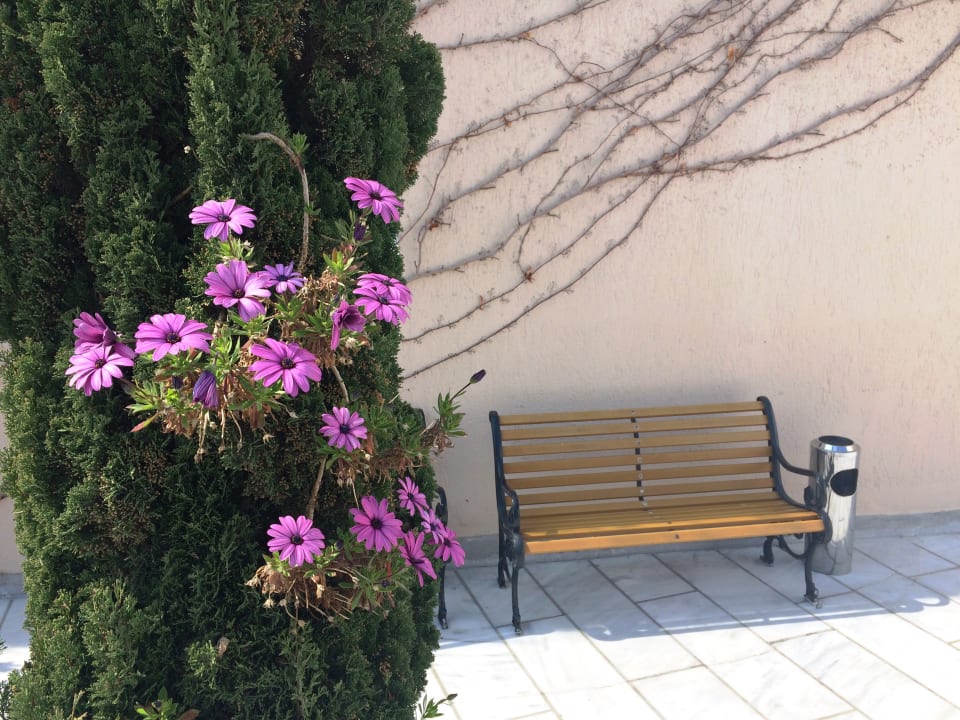 Gartenanlage Santa Marina Beach