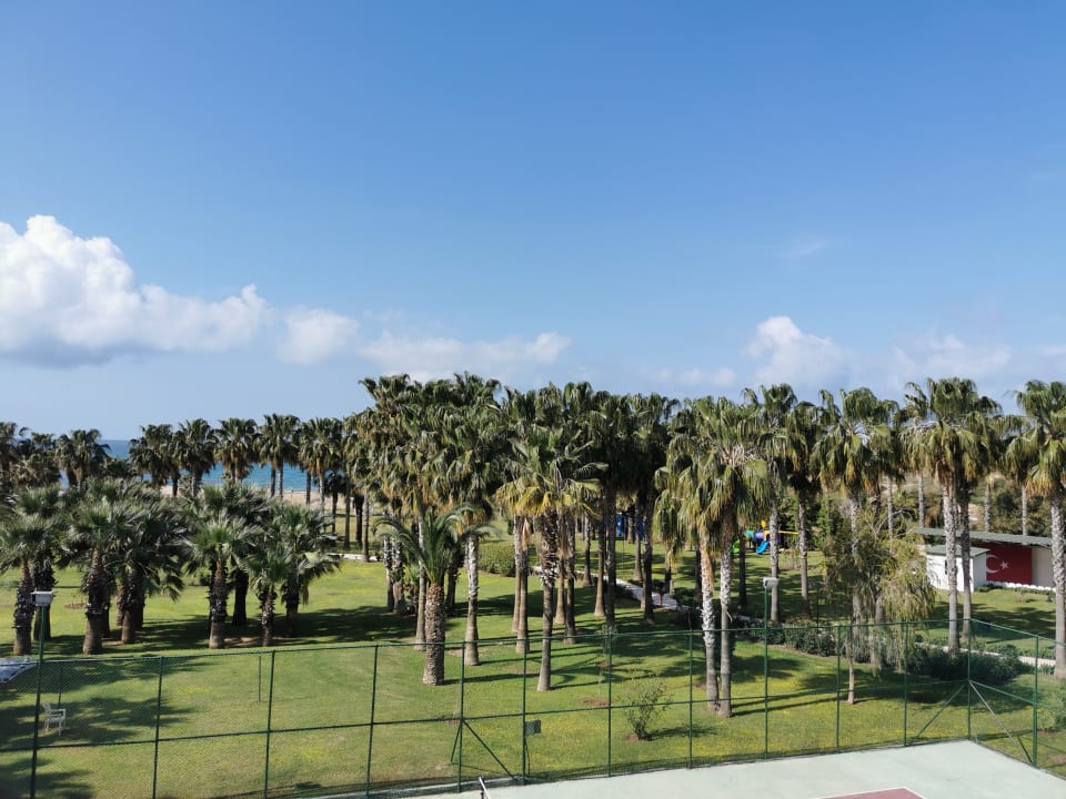 Gartenanlage Royal Atlantis Beach Hotel