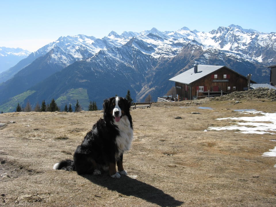 Bergstation der Hirzer-Bahn, direkt neben Hotel Alpenhof Lodge Passeiertal