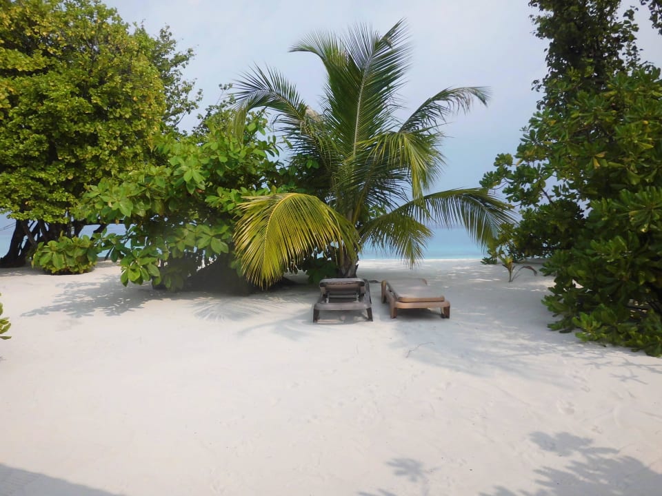 Ausblick von der Villa Kuredu Island Resort & Spa
