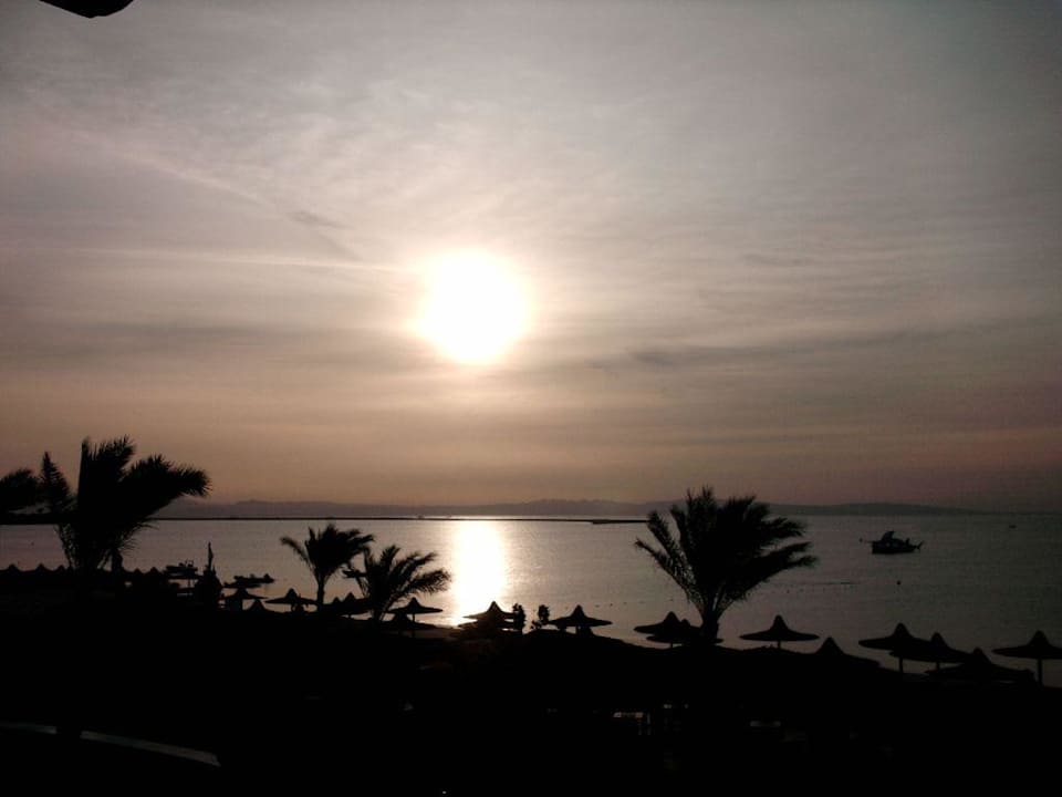 Sonnenaufgang am 16. Januar JAZ Dahabeya