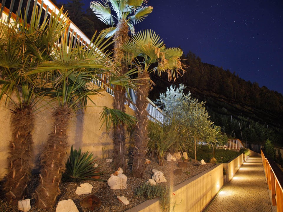 Palm trees on the way to the pool Residence Innerfarmerhof