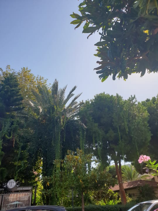 Garten Hotel Aslan City Kleopatra